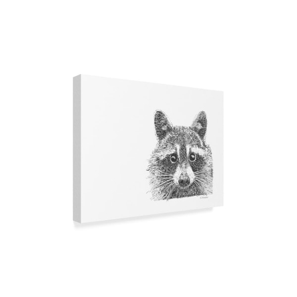 Let Your Art Soar 'Raccoon Line Art' Canvas Art,24x32